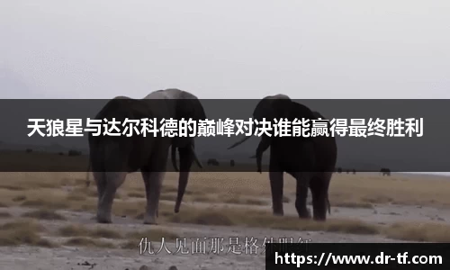 一竞技官网