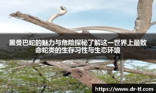 一竞技